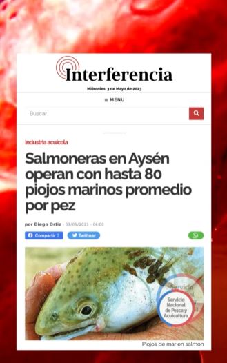 Lyftvnews en español Chile : Salmones con piojos en centros de cultivos en la región de Aysén  Imagen%20de%20WhatsApp%202023-05-05%20a%20las%2018.29.02.jpg?width=540&upscale=true&name=Imagen%20de%20WhatsApp%202023-05-05%20a%20las%2018.29.02